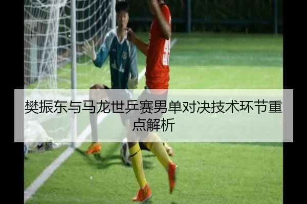 樊振东与马龙世乒赛男单对决技术环节重点解析（haishen）